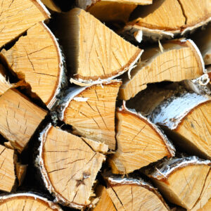 Corde 100% Bouleau Blanc | Cord 100% White Birch